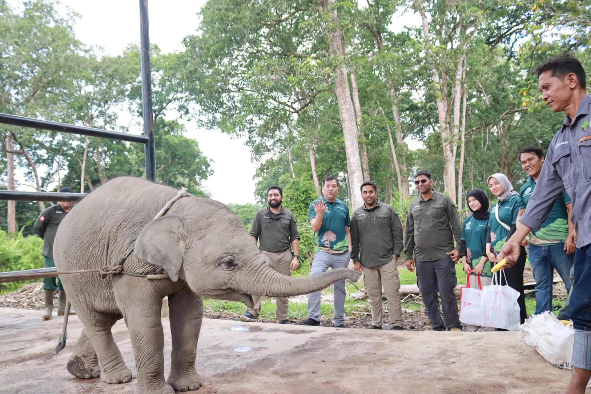 International Wildlife Conservation: Historic Partnership Be...