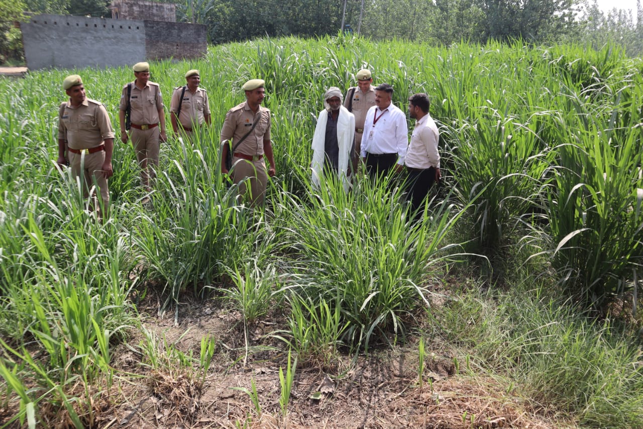 District Magistrate honoured the farmer for good production of Napier grass and free availability of seeds in Saharanpur