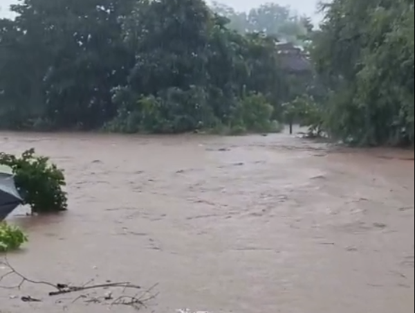 Rain havoc in Katni, administration on alert mode..