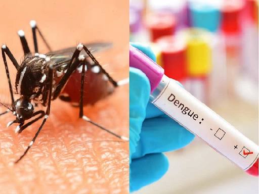 Dengue has knocked in Saharanpur district, two patients including a child found infected with dengue