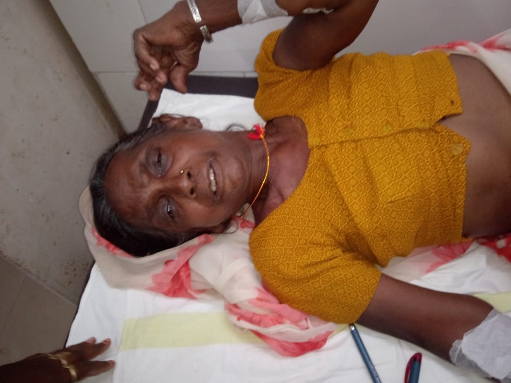 Poisonous krait snake bites an old lady sleeping on the ground