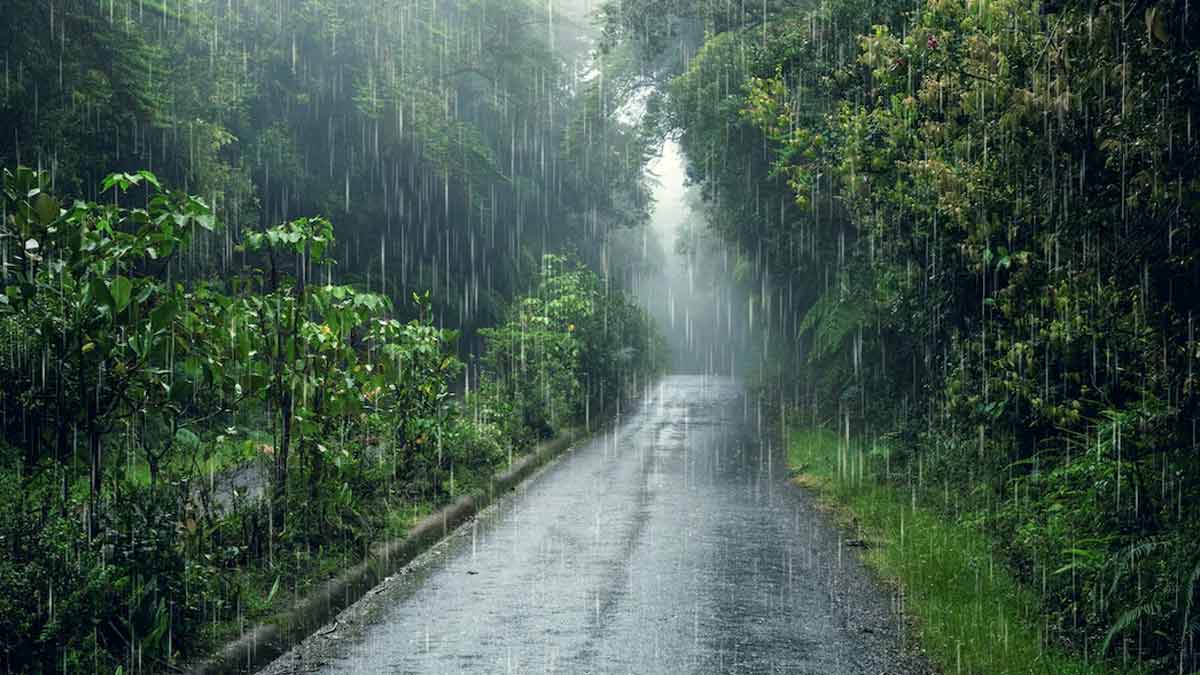 Meteorological Department issued heavy rain warning in 26 states