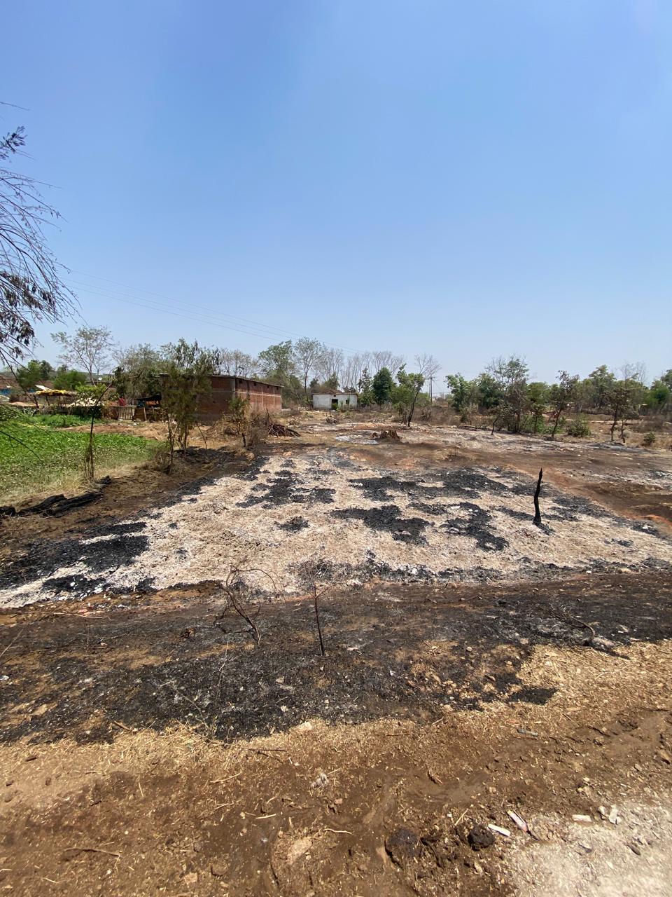 300 tons of wooden scrap burnt to ashes in Dhanpuri, Shahdol