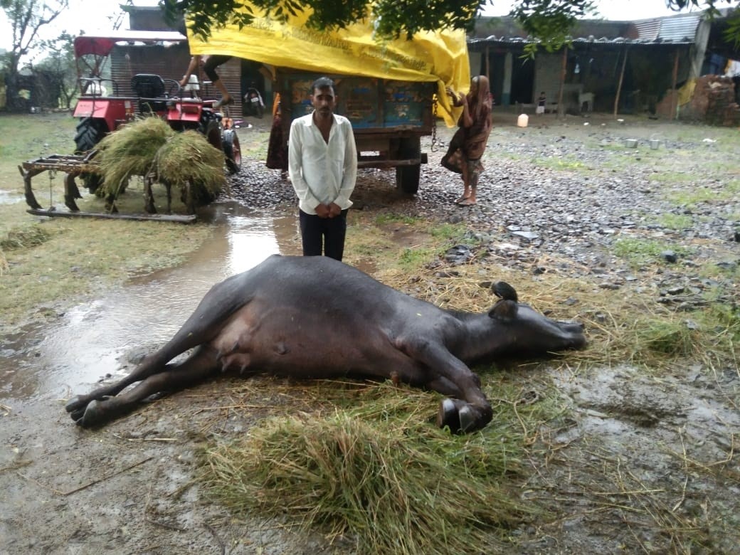 आसमान पर छाई काली घटाएं बरसीं