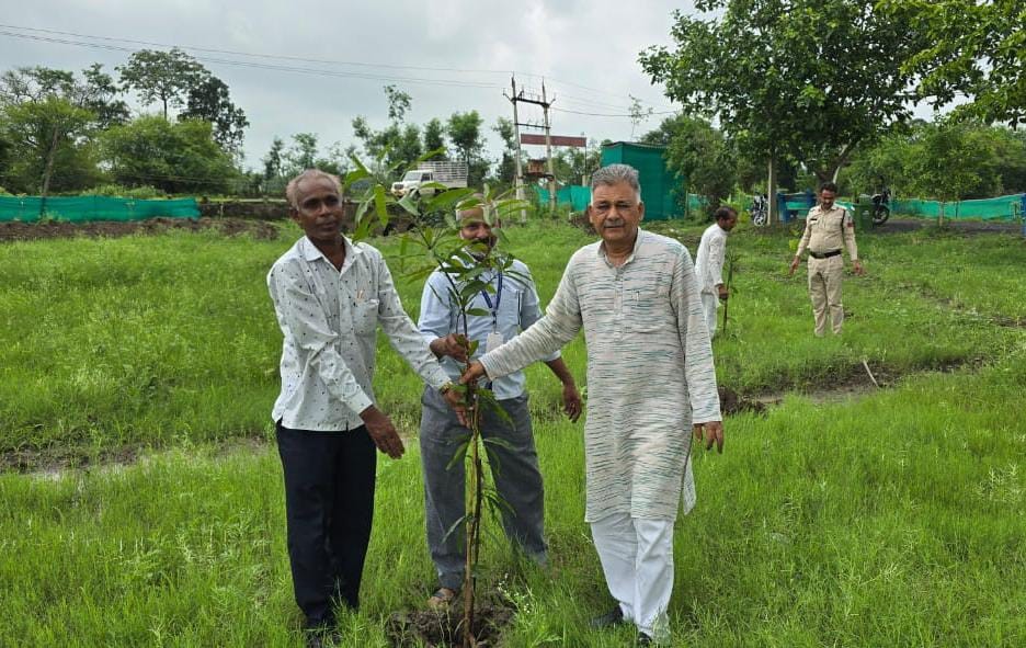 Higher Education Minister Shri Parmar planted saplings