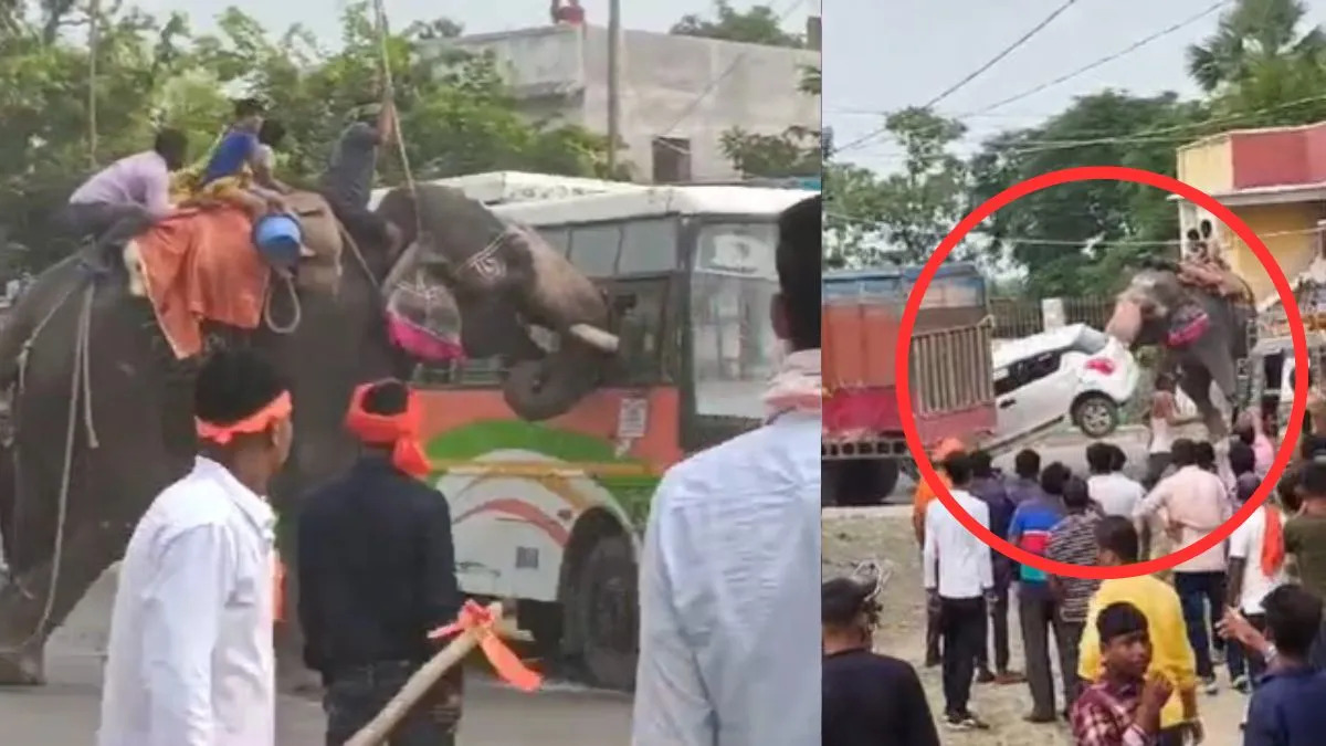 Uncontrolled elephant created havoc in Dussehra procession