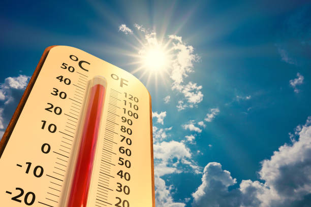 In view of the scorching heat, the Chief Minister gave instructions to all DMs