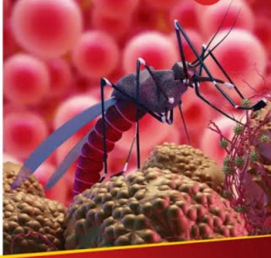 Not a single case of malaria has been reported in Saharanpur district for two and a half years