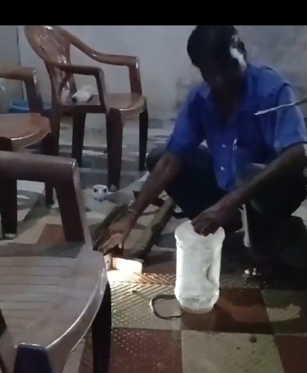 A poisonous snake was found in the house of Anuppur Yuvraj Jat