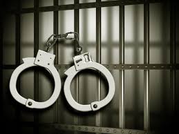 Police foiled the plans of criminals