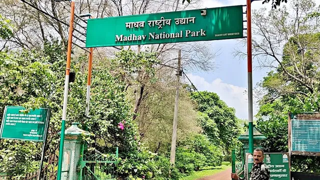 Madhav National Park becomes MP's 9th, India's 58th Tiger Reserve