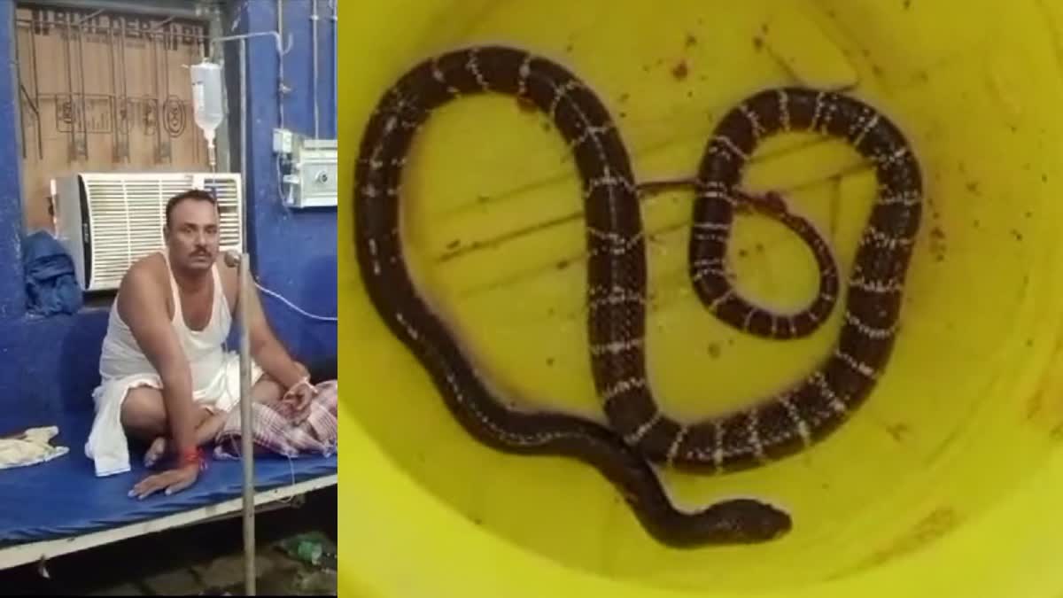 A police inspector was bitten by a snake in Nawada police station