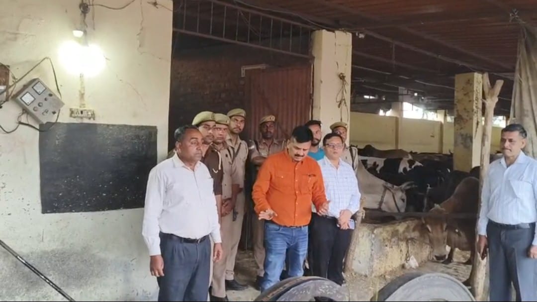 District Magistrate did a surprise inspection of the cowshed on the day of Holi, the arrangements were found satisfactory