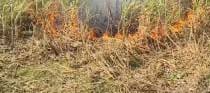Fire broke out in farmer's field under suspicious circumstances
