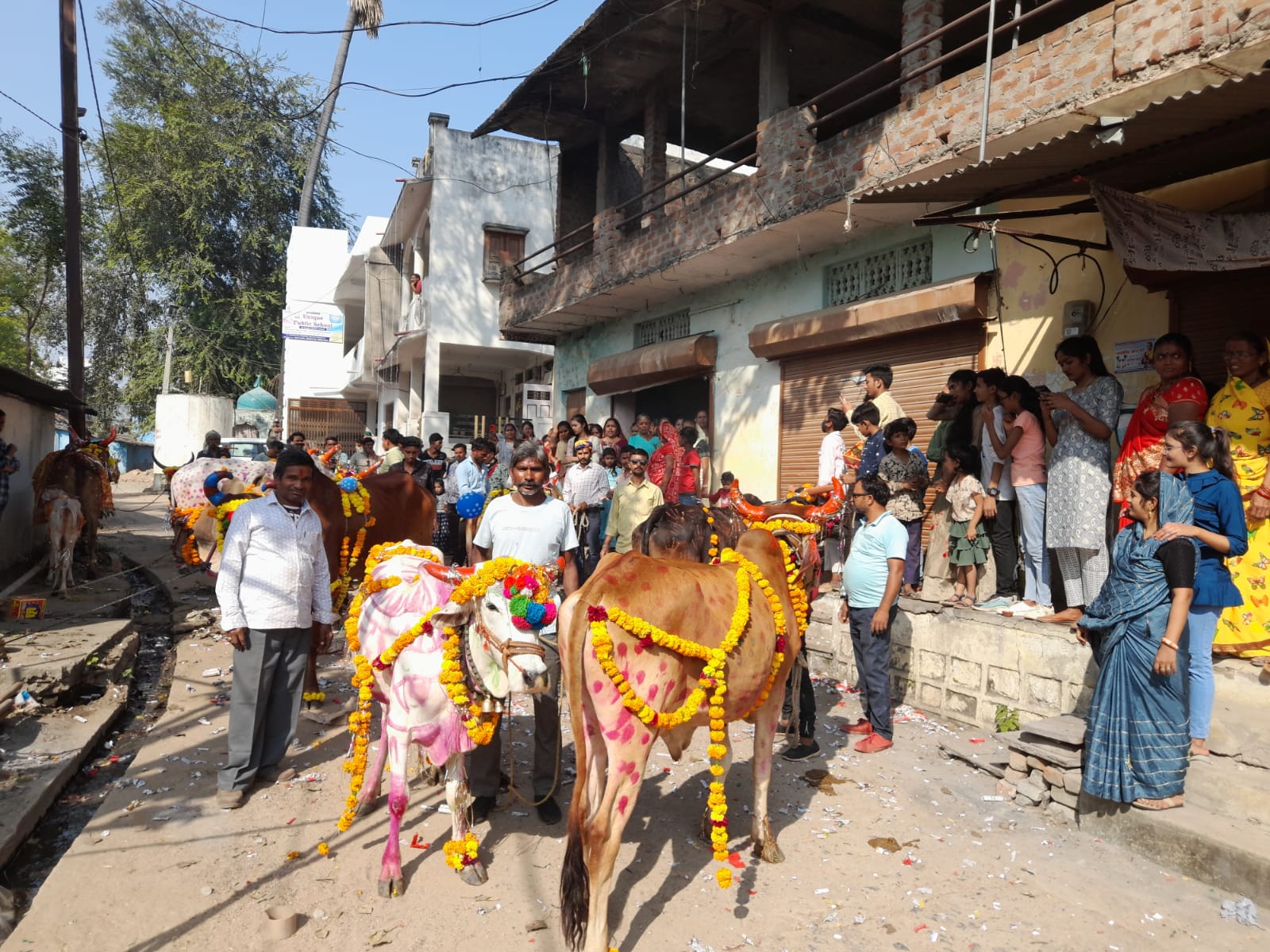 Mali community celebrated Gai Gauri festival with great pomp in Nanpur, Alirajpur