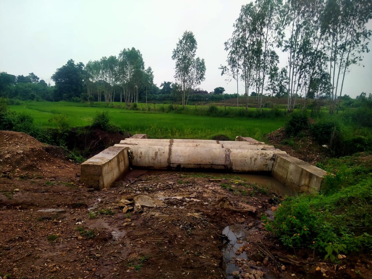 Panchayat constructed a substandard culvert in the field, no trace of the road
