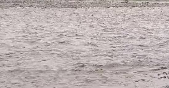 After continuous rain in Shivalik hills